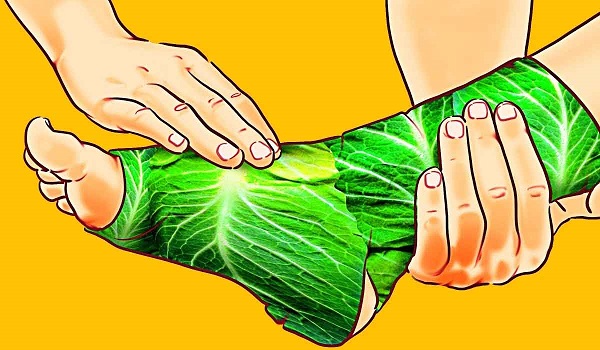 Enveloping Your Feet By Cabbage Leaves Will Give You Surprising Results