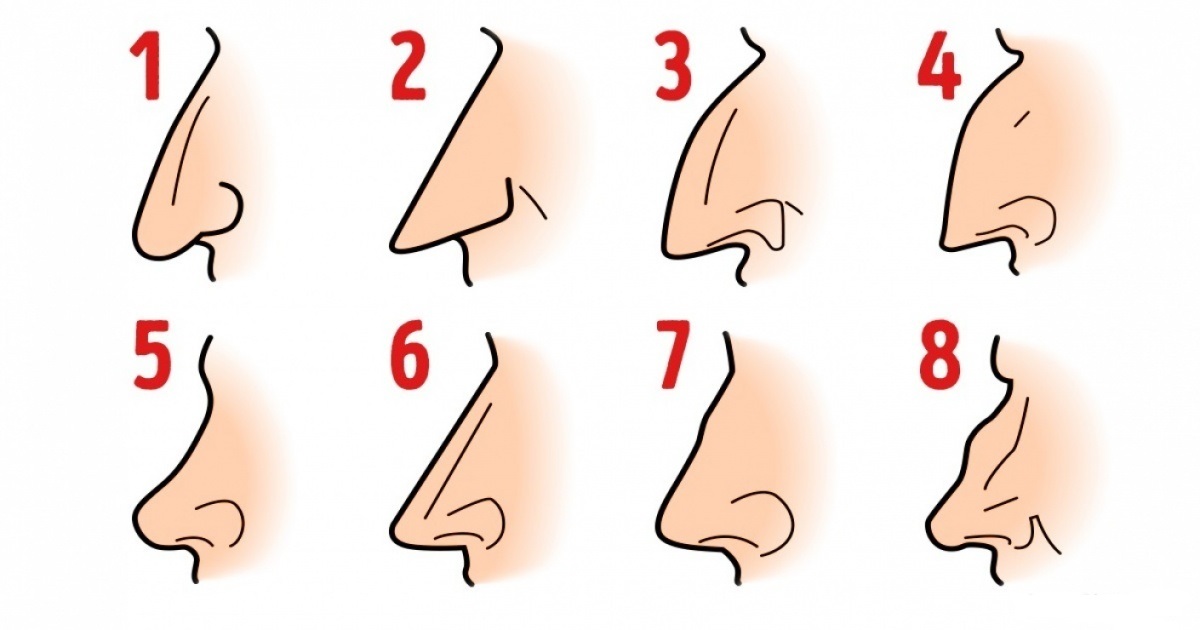 Select Your Nose Shape And We’ll Tell You Abouth Your Personality